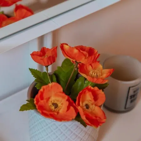 Casa Melisa I 61m² I Wlan アパート