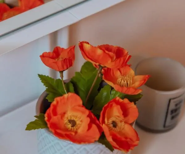 Casa Melisa I 61m² I Wlan شقة